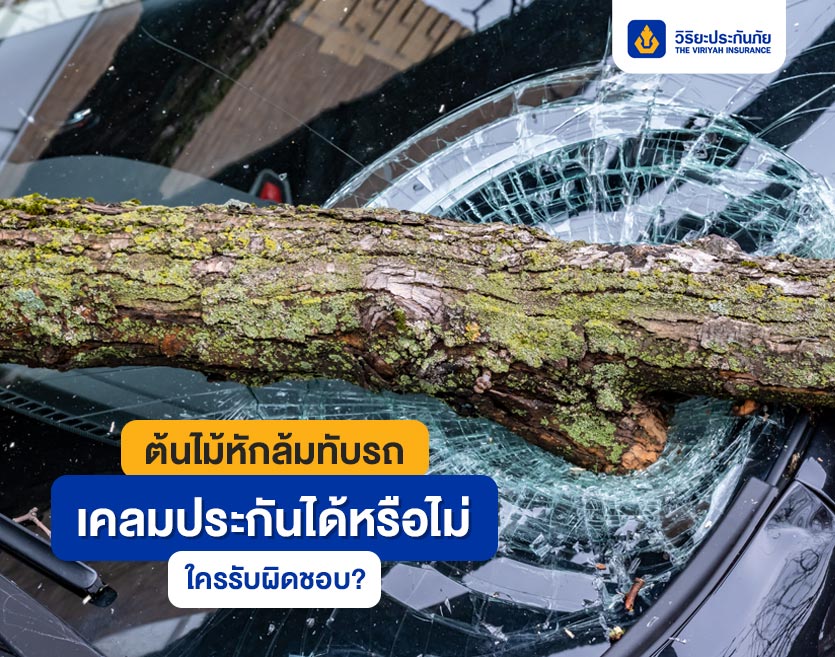 ต้นไม้หักล้มทับรถ เคลมประกันได้หรือไม่ ใครรับผิดชอบ?