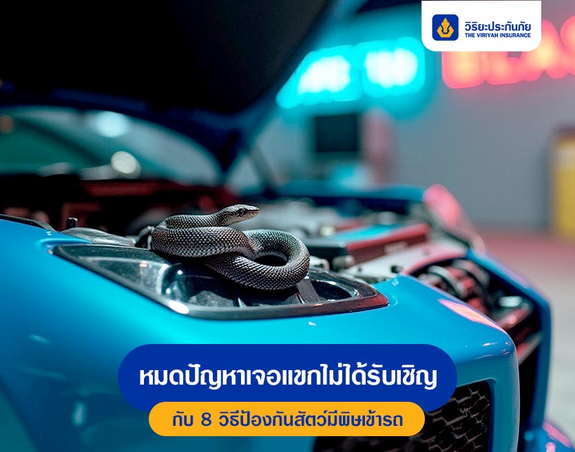 หมดปัญหาเจอแขกไม่ได้รับเชิญ กับ 8 วิธีป้องกันสัตว์มีพิษเข้ารถ